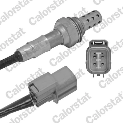 Oxygen Sensor